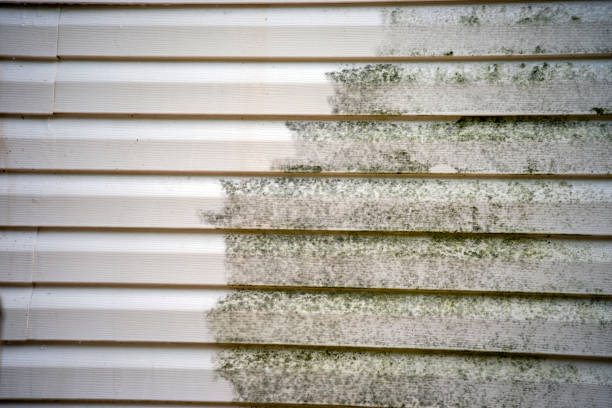 Affordable Siding Repair and Maintenance Services in Lincoln Village, OH