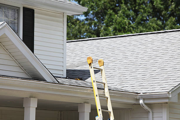 Best Wood Siding Installation  in Lincoln Village, OH